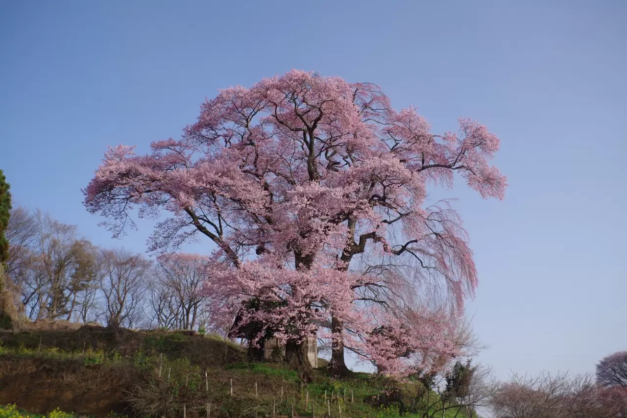🎨 다카시바 공예 마을(다카시바 데코야시키) 이미지 6